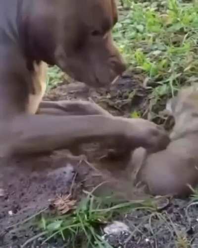 Listen here, you big monsta