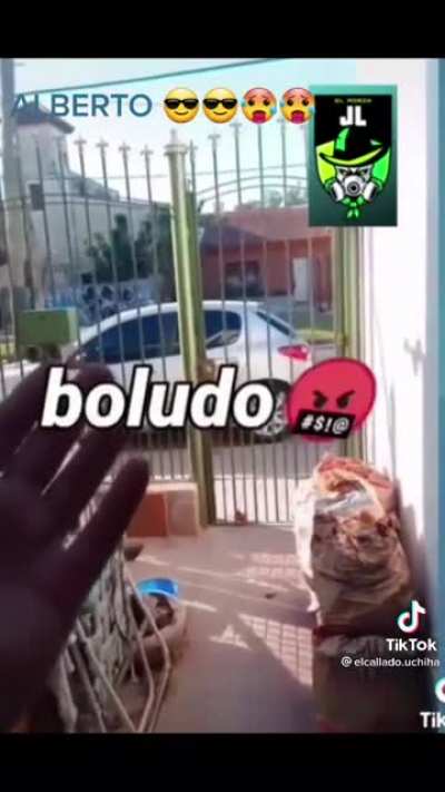XD