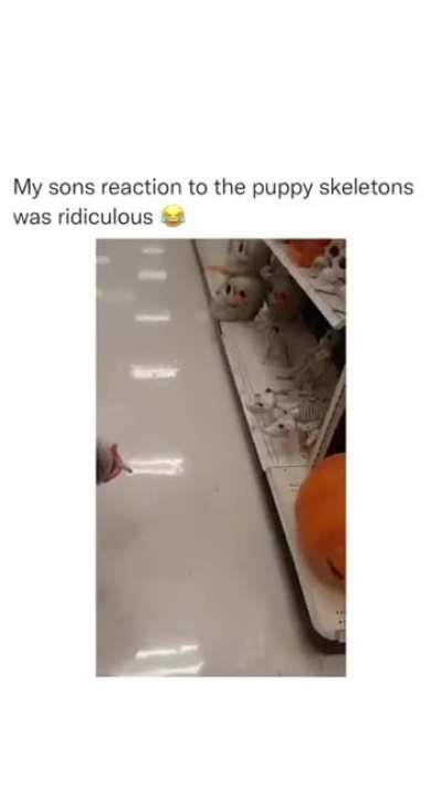 Reaction to skeleton puppies