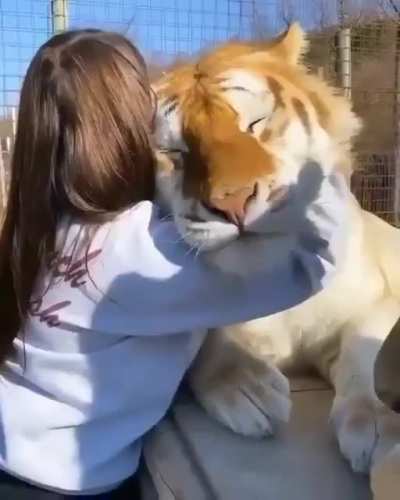 Bug scritches