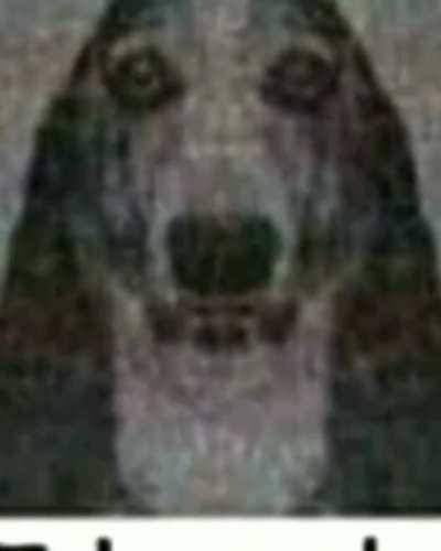 eduardo