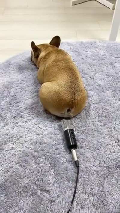I didn't do that mommy