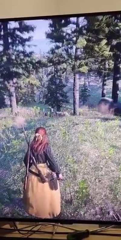 Grizzly having fun