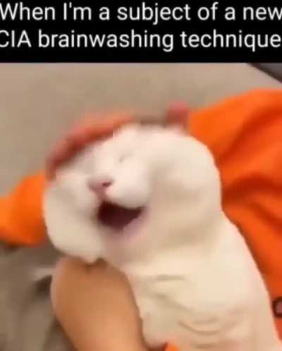 Wunky brain washing 
