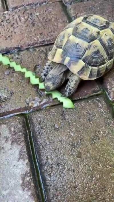 The costume department making Rohan’s hat thing for the new ova, 2020 colorized