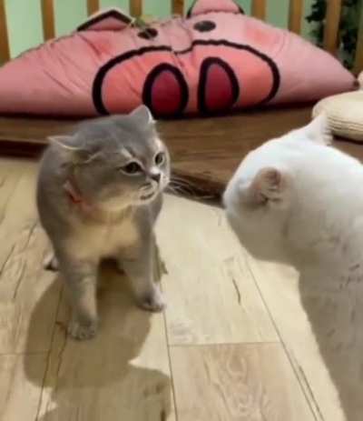 Напряжённая дискуссия