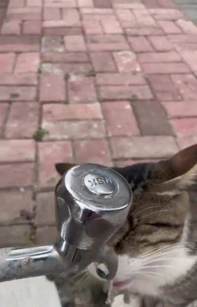 Thanks, kind human 