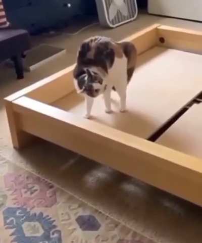 Y'all ever heard of knocking?