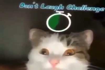 Try not to wunk