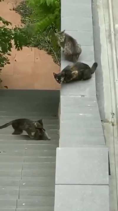 Maybe Maybe Maybe
