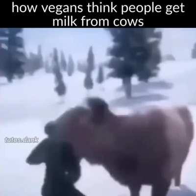 Milk is good