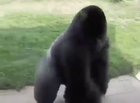 Me ulting in nobody with Xing Tian