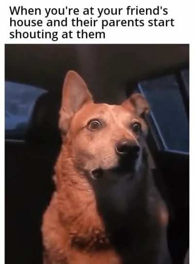 Meirl
