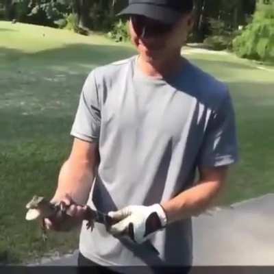 Crikey