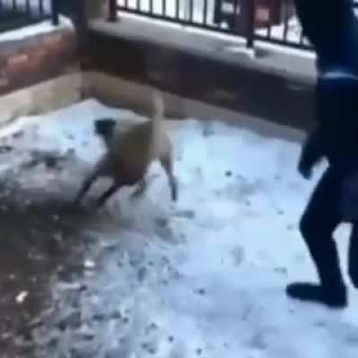 Gel bakalım buraya