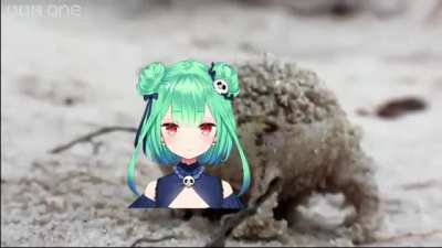 A Very Angry Necromancer