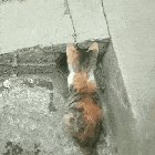 Hide And Seek