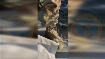 Further work on Snake Island clean up - video from Chief Directorate of Intelligence of the Ministry of Defence of Ukraine. Includes cat tax.