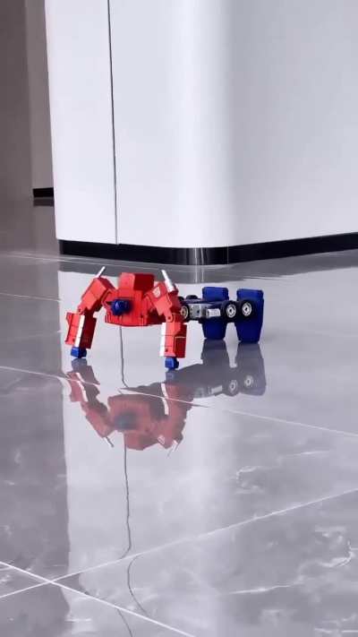 Amazing Cool Toy