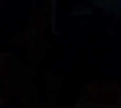 RAAA-