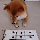 Smart Boy :)