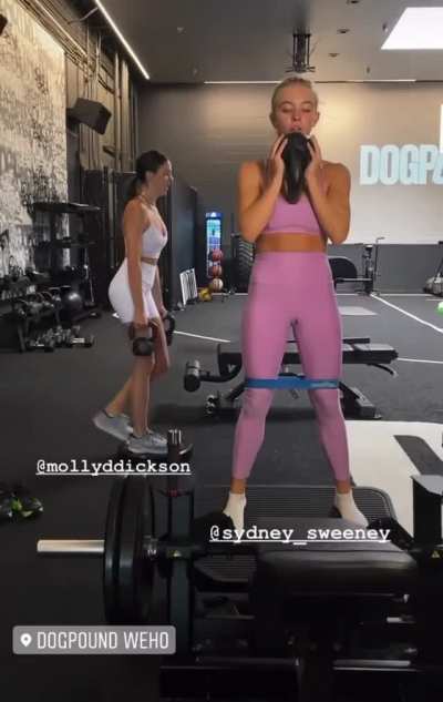 Workout
