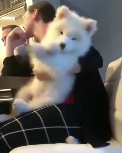 The cutie...!