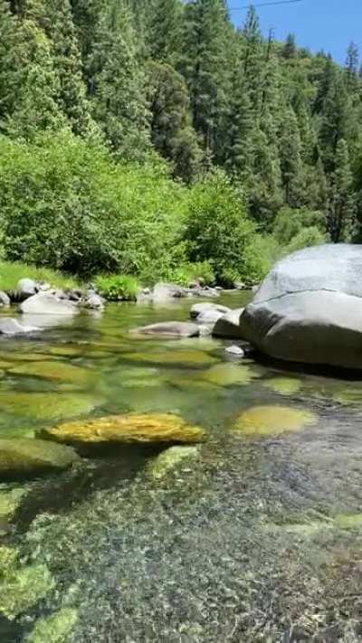 Zen moment at the river