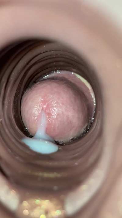 What It Looks Like to Get Creampied