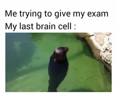 me_irl
