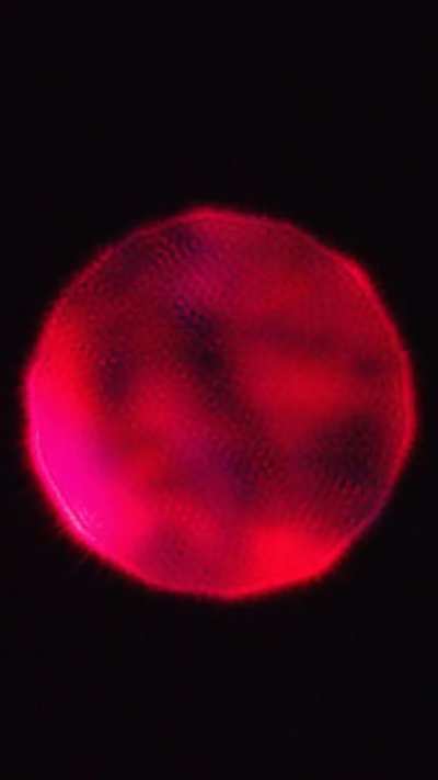 Bragg diffraction