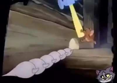 Tom and nibba cat
