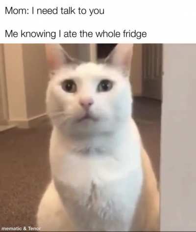 Made like 4 memes with this template