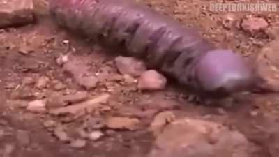 Her gün bir deep turkish web video serisi #13.Gün