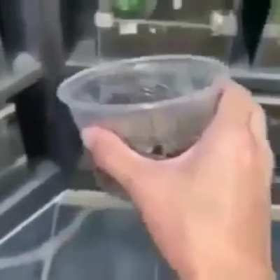 Arrepiou?