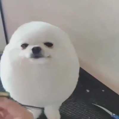 😃