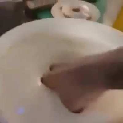 mayonnaise