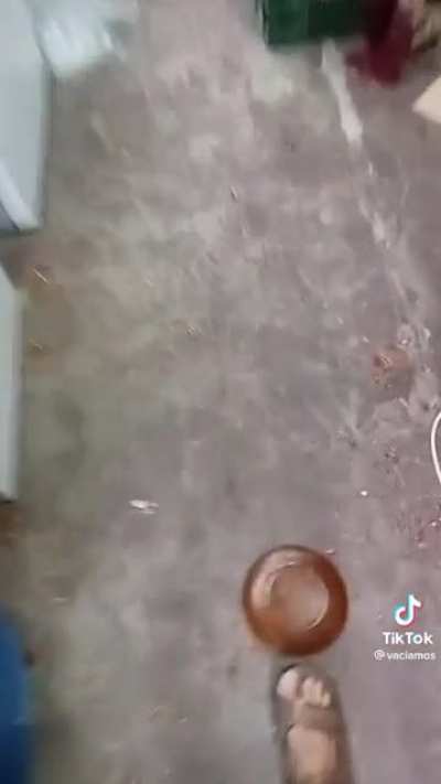 los platos duraleh