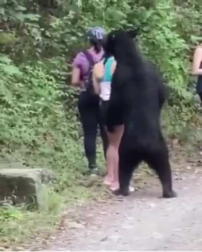 Bear vs chicks lol