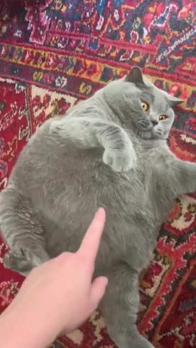 Просто кость широкая.