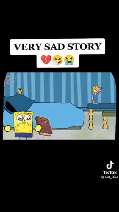 sad spong bag