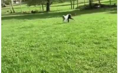 Lillia wandering through the jungle while the enemy team is at our base