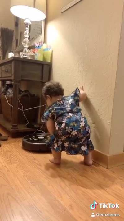 Roomba fight