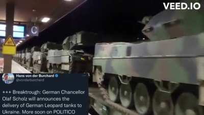 3,000 Woodland Camo Trains of Germany