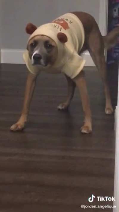 Not sure if he likes it...