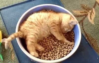Breakfast in bed