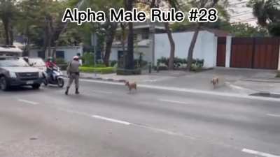 one hand of one traffic police is enough