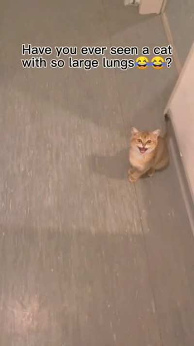 MEAAAAAAAAAAAAAAAAAAAAAAAAAAAAAAAAAAAAAAAAAAAAAAAAAAAOW