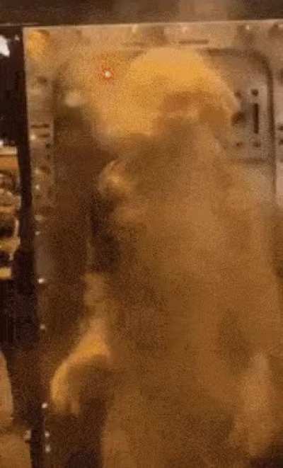 me genuinely tweaking when I find out I can't punch quarters irl like the funny gay blue robot
