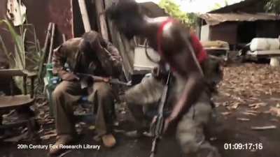 Ape with ak47
